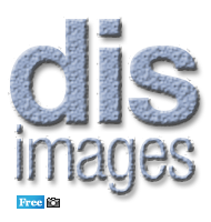 DIS Magazine: New in Stock