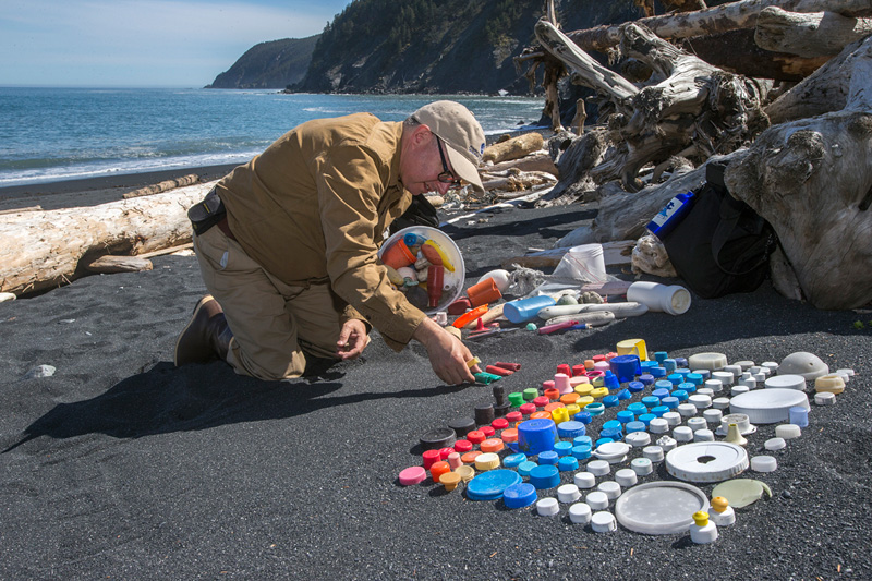 Mark Dion working, Photo by Kip Evans, the Anchorage Museum and Alaskan Sea Life Center.