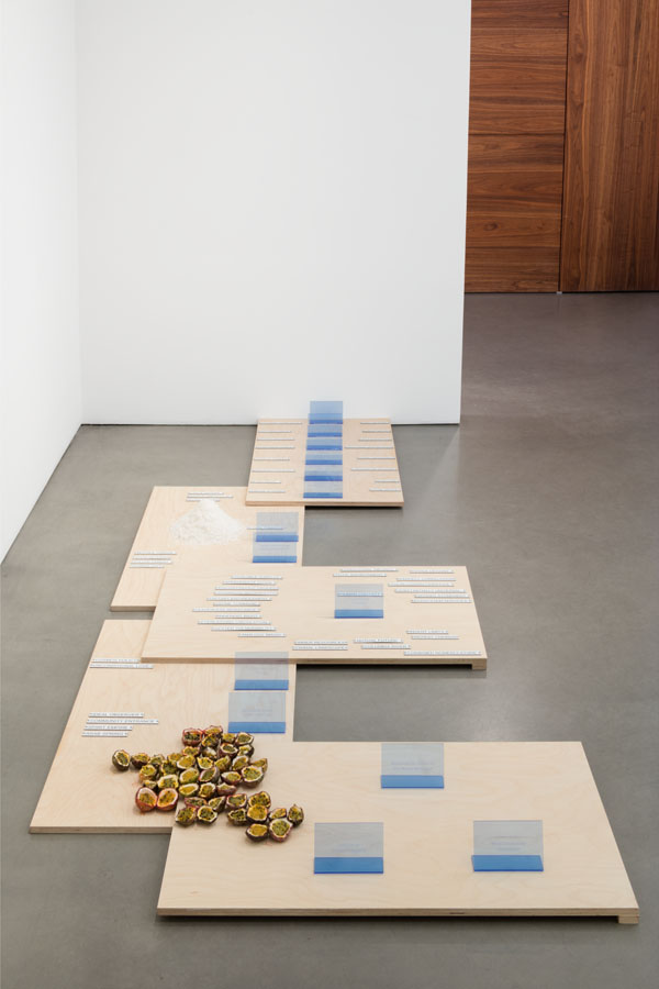 Emily Jones, Search for the Source of the Nile, 2015, plywood, paper, ink, perspex signs, Atlantic sea salt, passion fruit, 118.11 x 51.18 inches. Courtesy Andrea Rosen Gallery, New York (C) Emily Jones. Photographer: Pierre Le Hors.