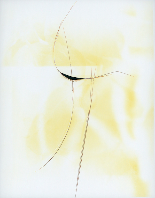 Ketuta Alexi-Meskhishvili Mellow Yellow, 2013 C-print 34,6 x 27,6 cm