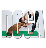 DIS Magazine: Doga