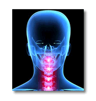 spinal-correction-icon
