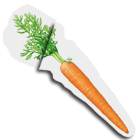 DIS Magazine: Training for Exploitation? Towards an Alternative Curriculum