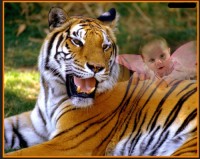 fairy-baby-tiger-rider