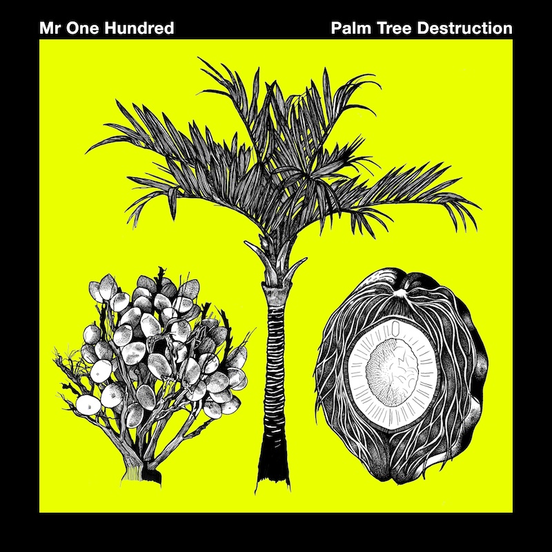 Stream: Mr One Hundred | Palm Tree Destruction «DIS Magazine