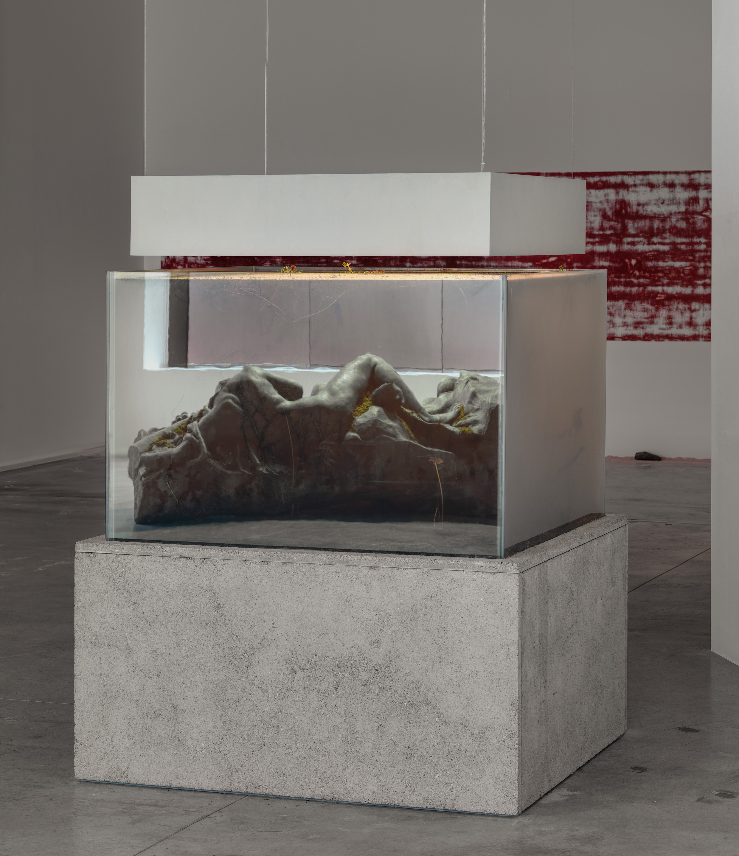 DIS Magazine: IN. BORDER. DEEP | Pierre Huyghe at Hauser & Wirth