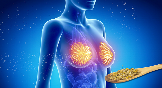 DIS Magazine: Uncertainty Seminars